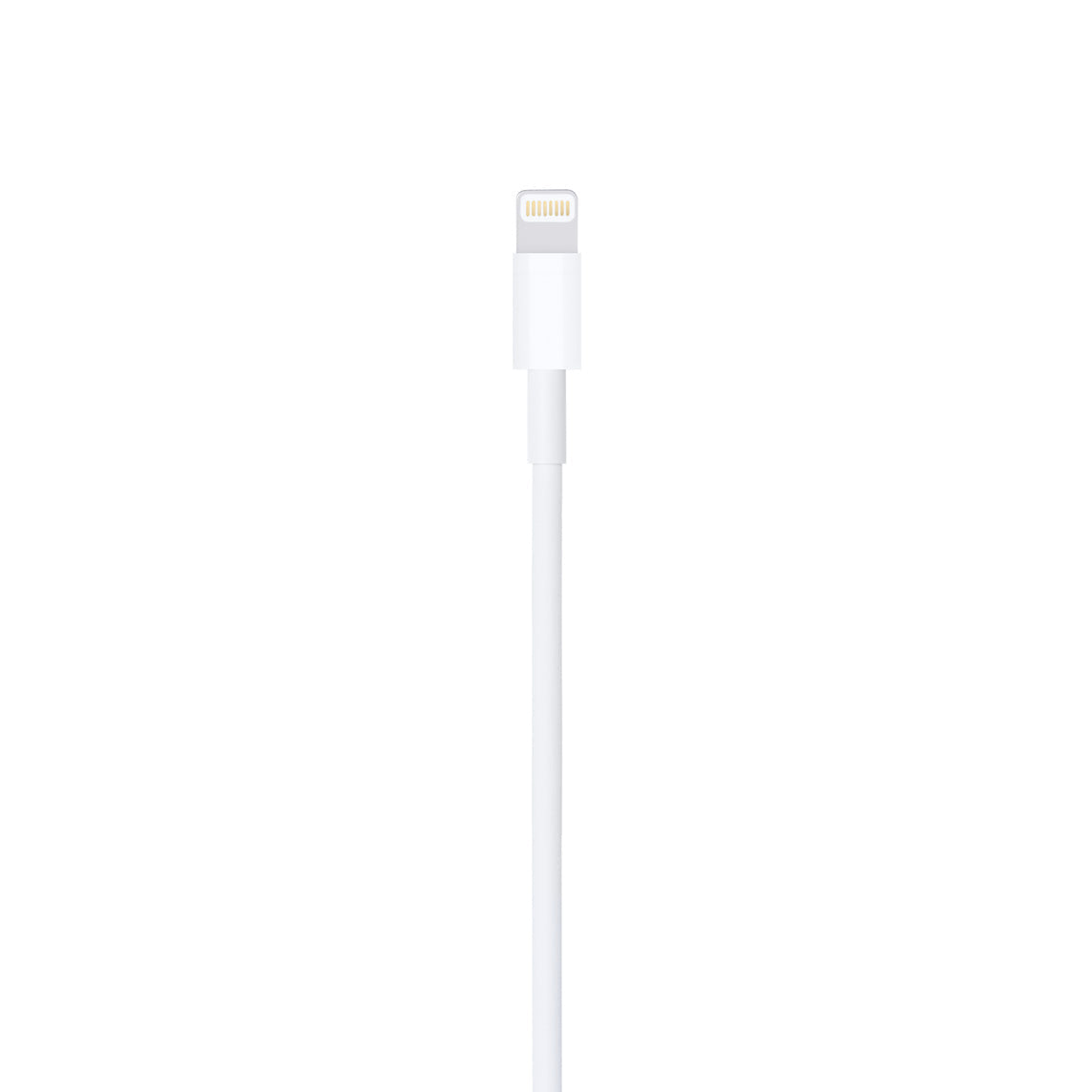Apple Lightning USB Kabel - 2 Meter Apple