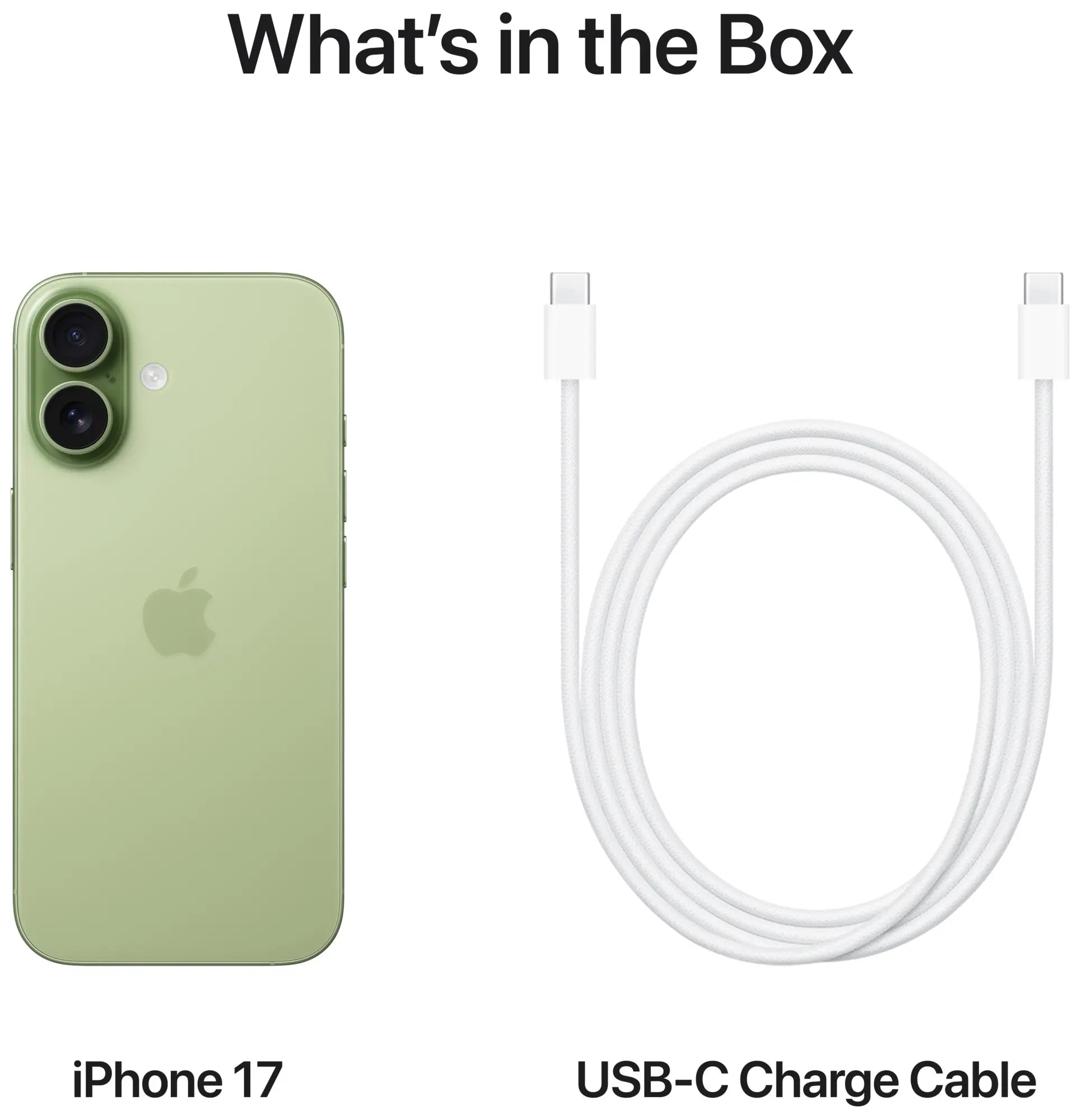 Apple iPhone 17 256 GB Salviagrön - (MG6N4QN/A)