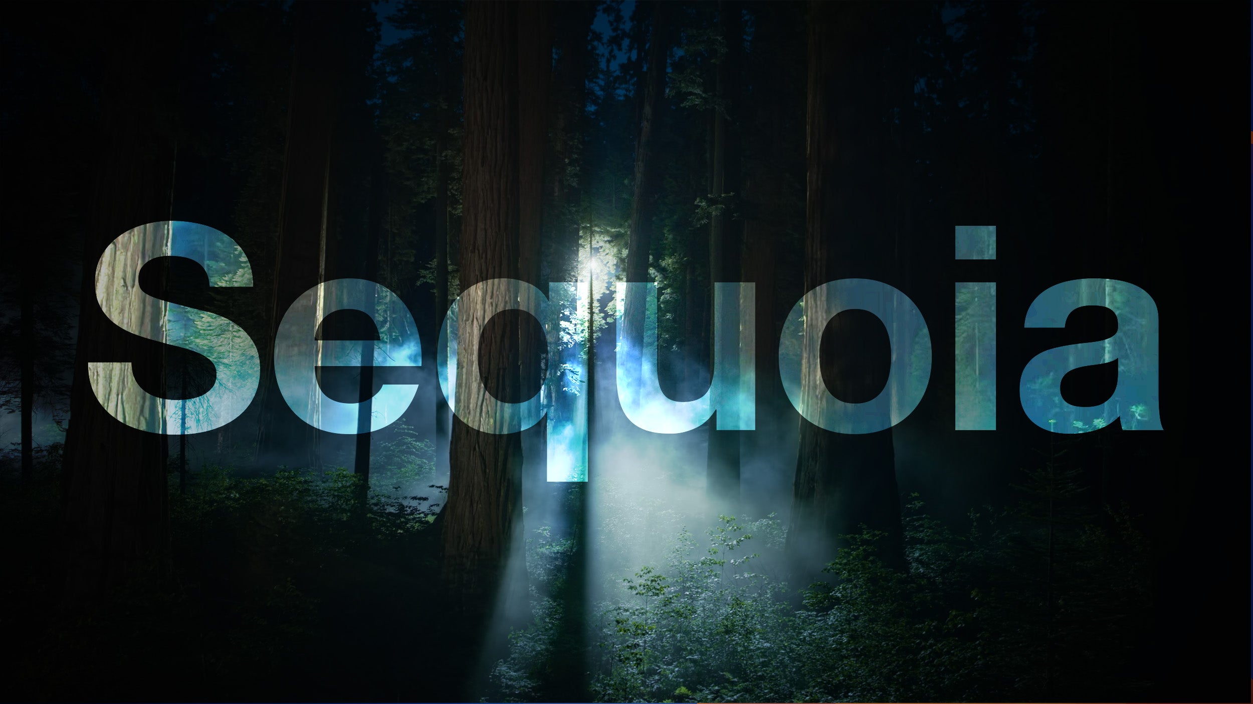 Apple frigiver macOS Sequoia 15.3 til udviklere nu!