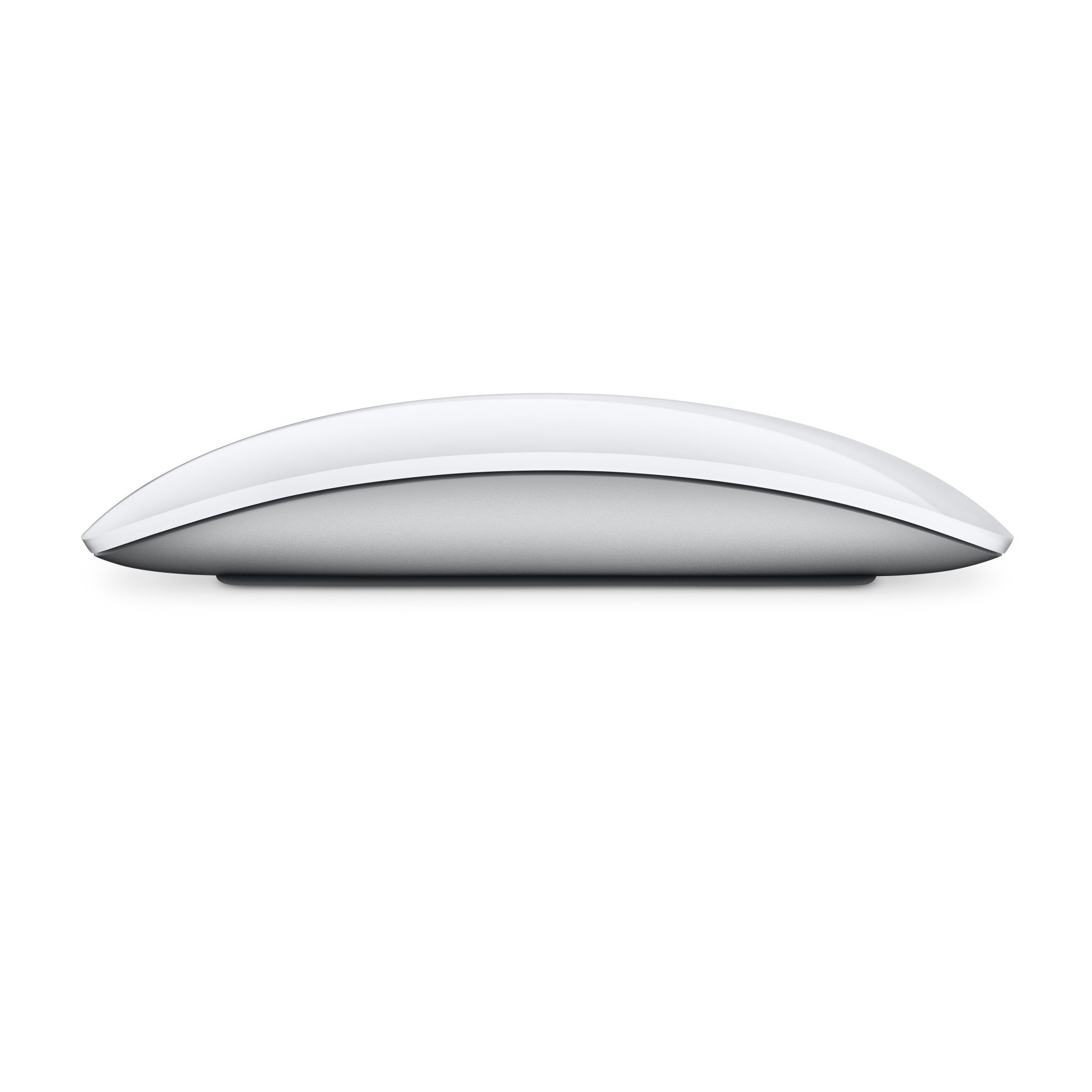 Apple Magic Mouse 2024 - USB-C - Vit - (MXK53Z/A)