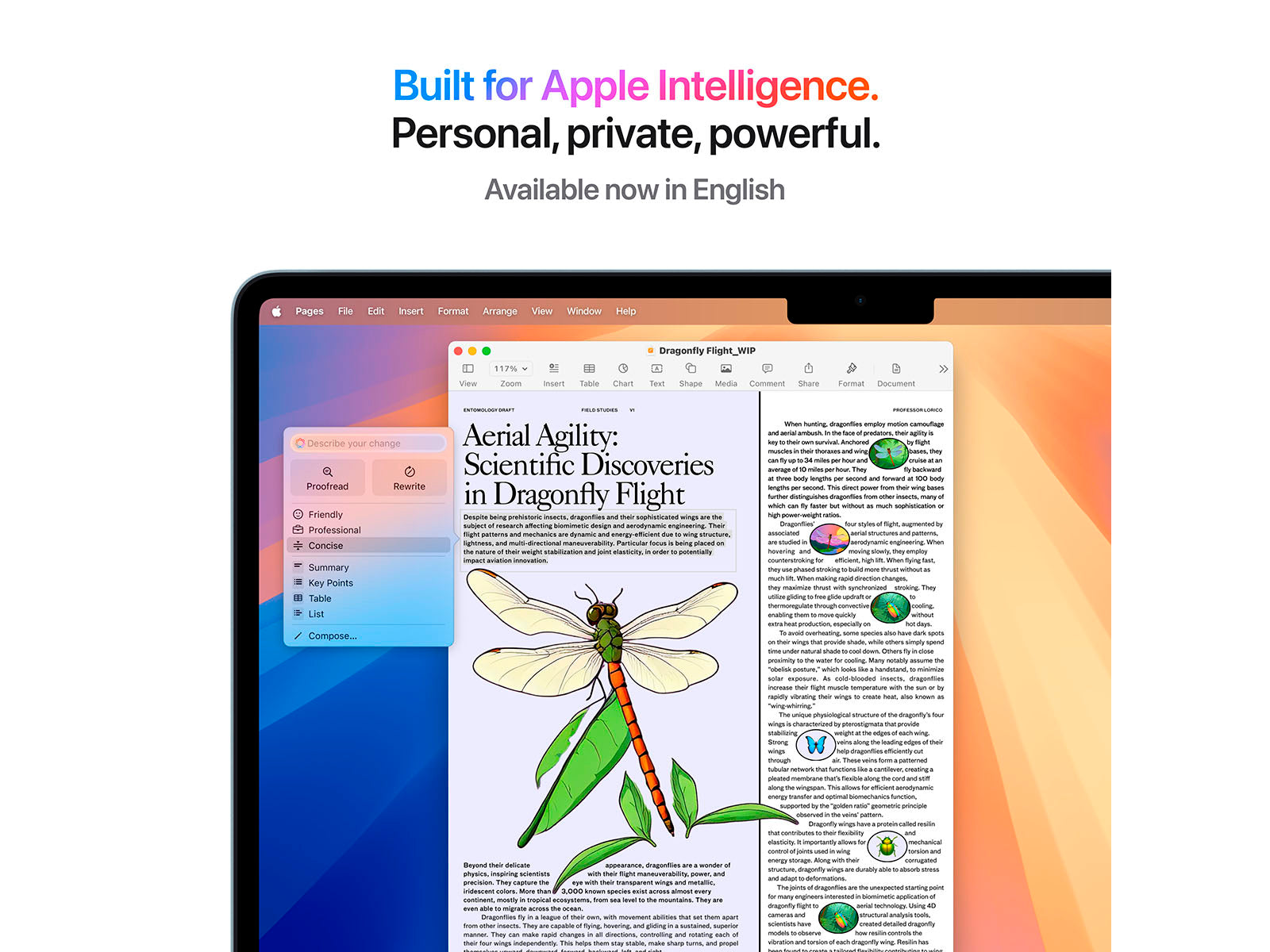 MacBook Air 2025 13" M4 10 processorer, 10 grafikkort, 16 GB, 512 GB - Midnatt - (MW133DK/A)